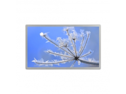 18.5寸液晶屏 1920*1080分辨率 30pin LVDS接口 18.5寸TFT LCD液晶模組